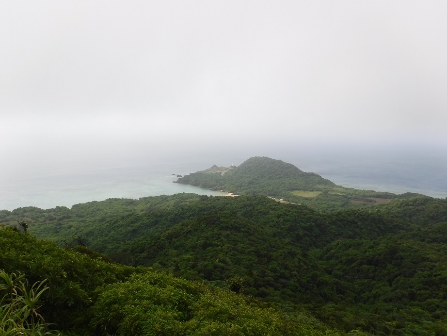 d0006512_18361237.jpg