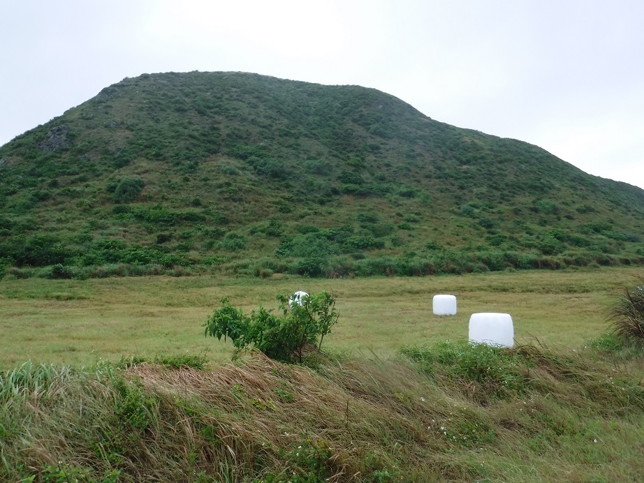 石垣島　二日目　平久保崎遊歩道　野底岳_d0006512_18565438.jpg