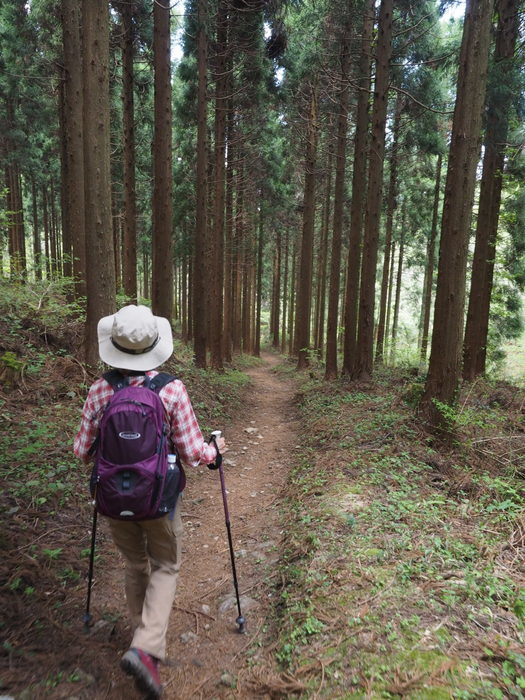 船通山登山_c0116915_00511590.jpg