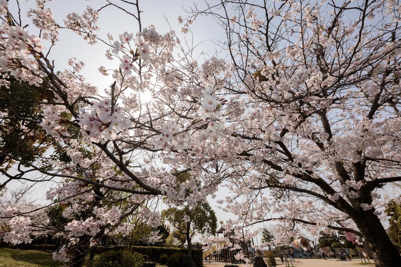 弘法大師の湧水伝説公園へ 杖ノ淵公園 Full Of Life