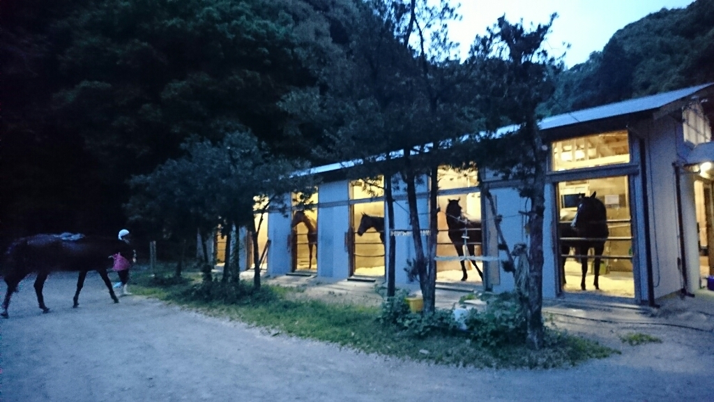さて、_b0187620_20151683.jpg