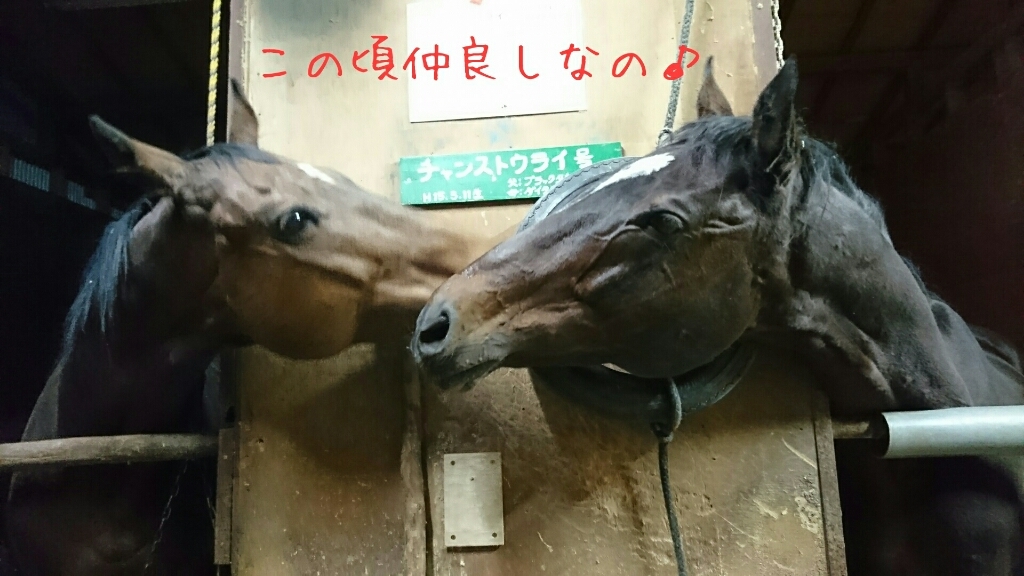 さて、_b0187620_20152414.jpg