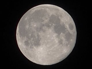 b0352223_01272010.jpg