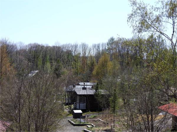 b0174425_19084852.jpg