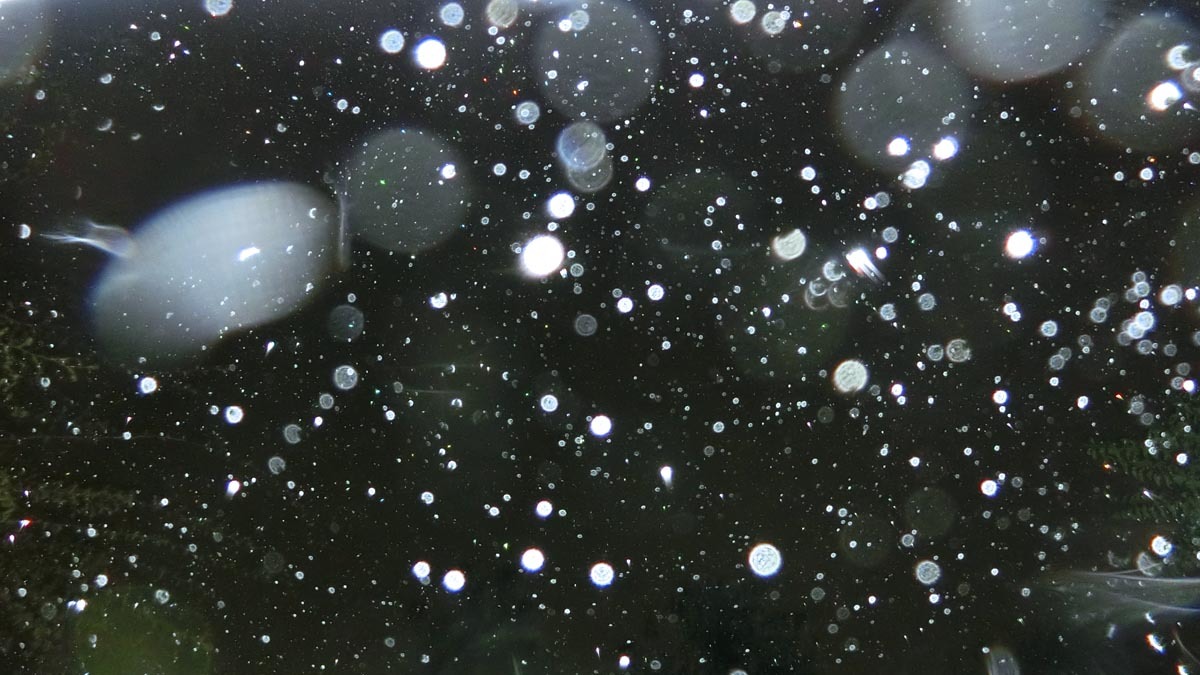 c0331825_18004848.jpg