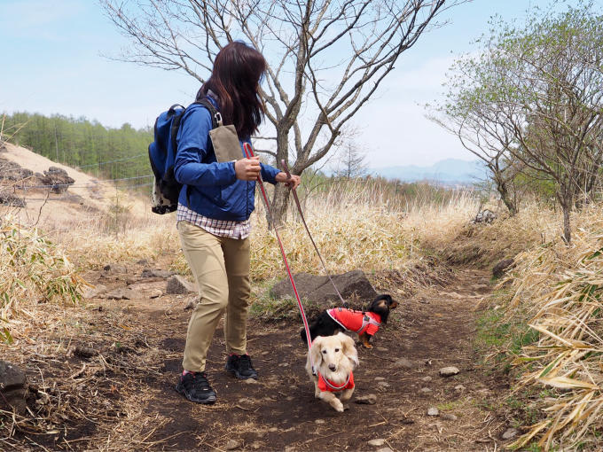 １８年４月３０日 飯盛山を登ったよ！_c0117831_10012702.jpg