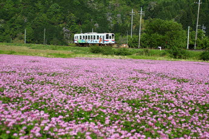 a0301737_09515774.jpg