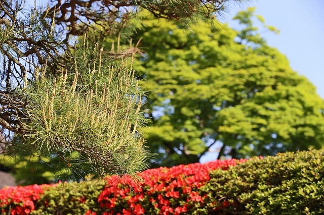 a0242438_20092600.jpg