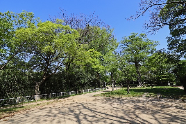 a0242438_20104732.jpg
