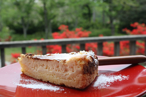 お寺カフェで霧島ツツジの花咲くテラスでのんびり〜春の能登カフェめぐり/輪島市・金蔵〜_e0115738_07421877.jpg