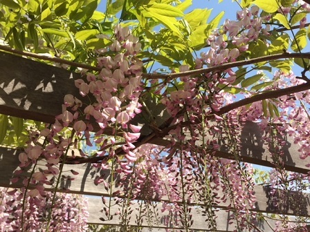 a0272241_14411743.jpeg