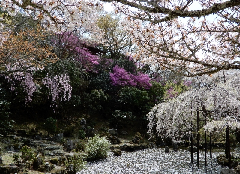 み吉野の花の庭 ＊ Jardin de fleurs au mont Yoshino - ももさへづり＊うた暦＊Cent Chants d' une Chouette