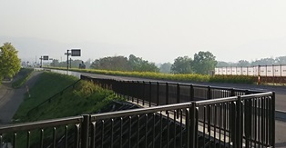 b0080342_11421546.jpg