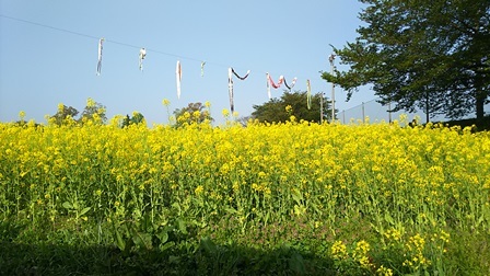 b0080342_11472325.jpg