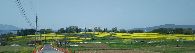 b0080342_12281349.jpg