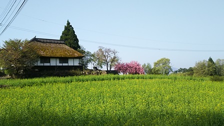 b0080342_13313587.jpg