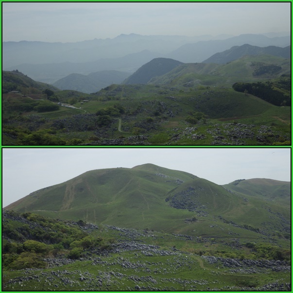 e0164643_15090421.jpg