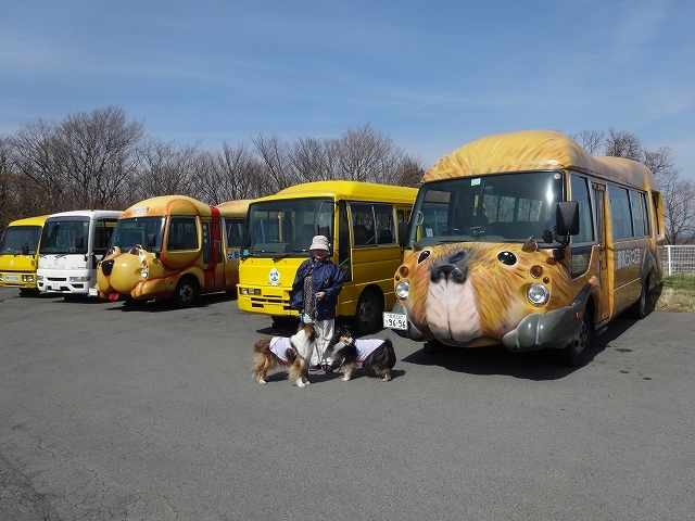 4月に行った場所のまとめワン♪_e0195743_01074482.jpg