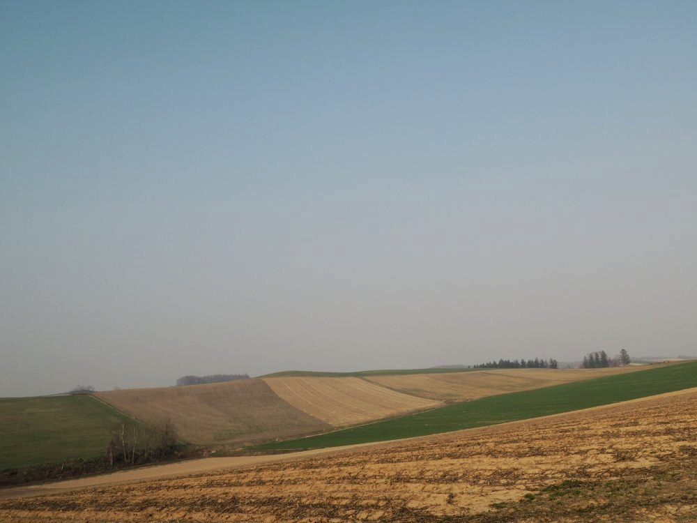 d0142944_16182479.jpg
