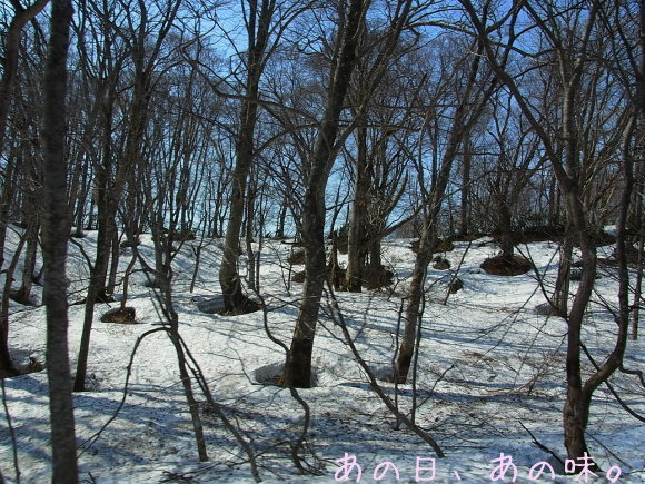 a0305046_09030622.jpg