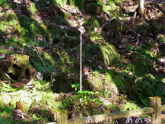 a0305046_09163877.jpg