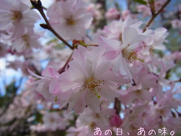a0305046_09184977.jpg