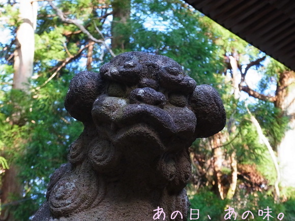 a0305046_09383169.jpg