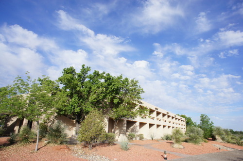 c0011649_21163384.jpg