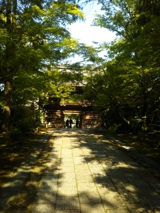 c0330749_12222804.jpg