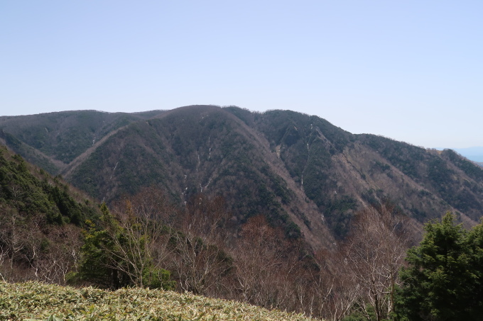 e0329049_20325223.jpg