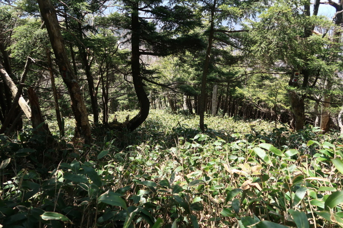 e0329049_20374154.jpg