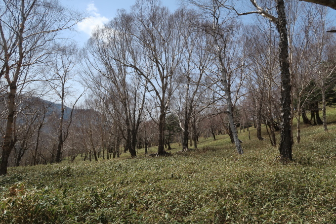 e0329049_20420812.jpg