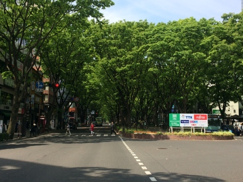 2019/05/12 仙台国際ハーフマラソンの新コース案内_b0185450_19101791.jpg
