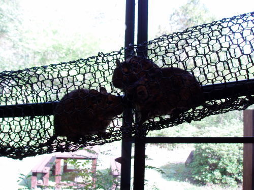 c0017651_10524889.jpg
