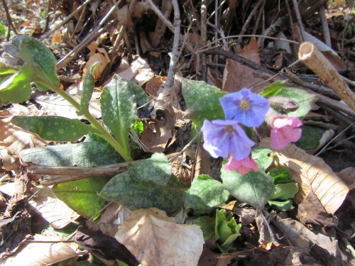 b0247153_08505680.jpg