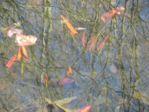 b0247153_09152949.jpg