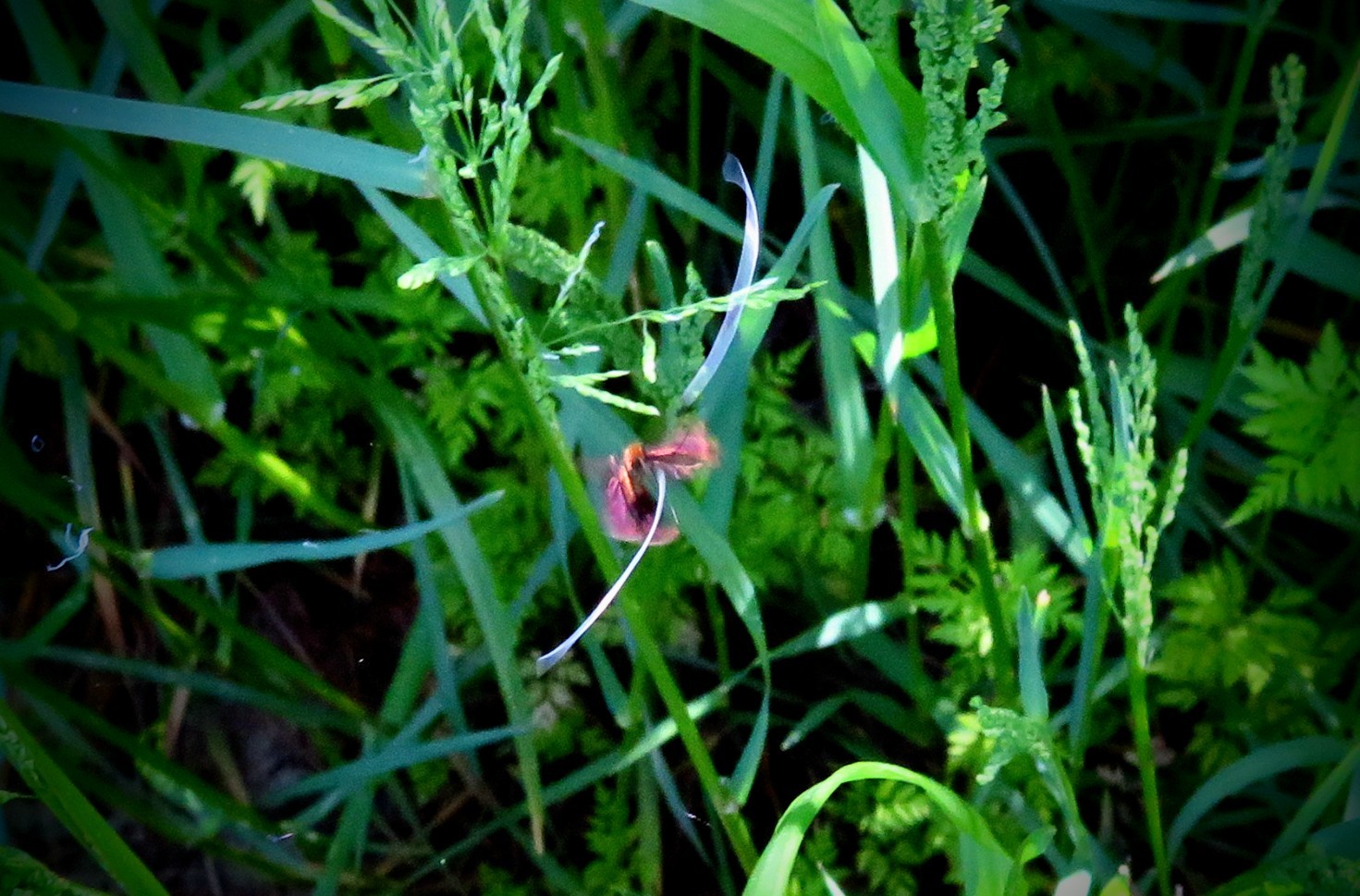 a0018655_09383236.jpg
