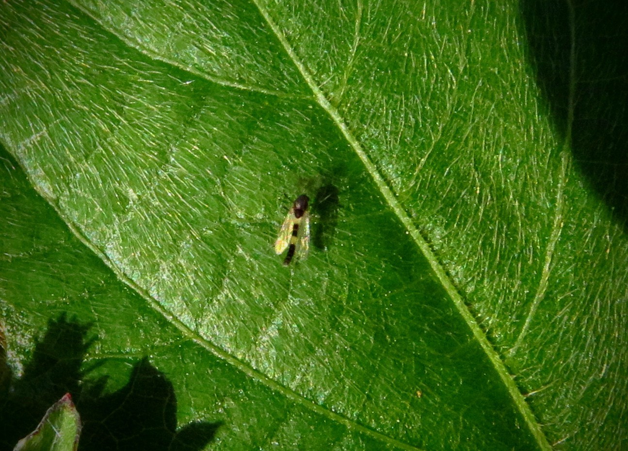 a0018655_09543645.jpg