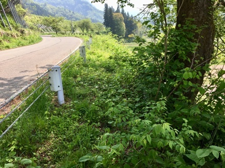 a0346455_16515427.jpeg