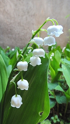 e0012055_00085915.jpg