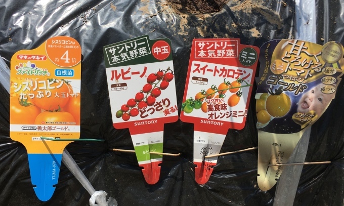 e0082956_05552796.jpeg