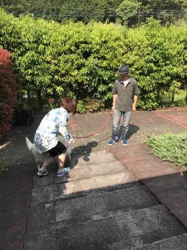 d0237757_07223893.jpeg