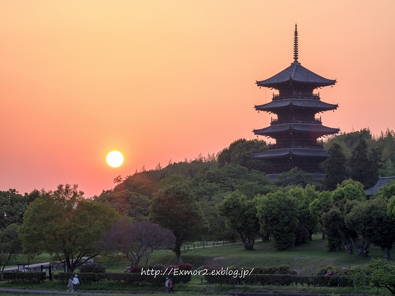 備中国分寺　夕日_f0368258_00554621.jpg