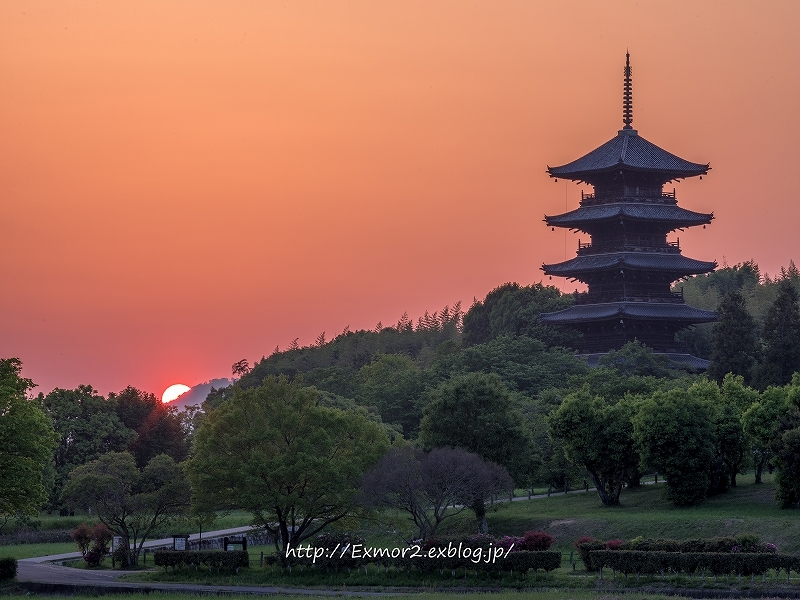 備中国分寺　夕日_f0368258_00555051.jpg