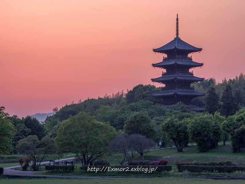 備中国分寺　夕日_f0368258_00555453.jpg