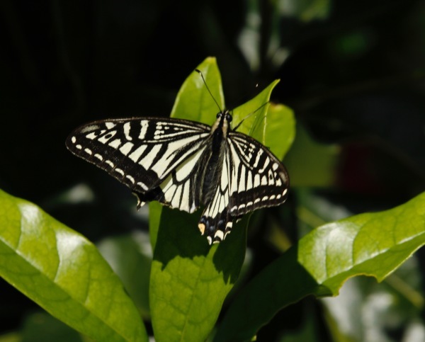 a0248459_13043938.jpg