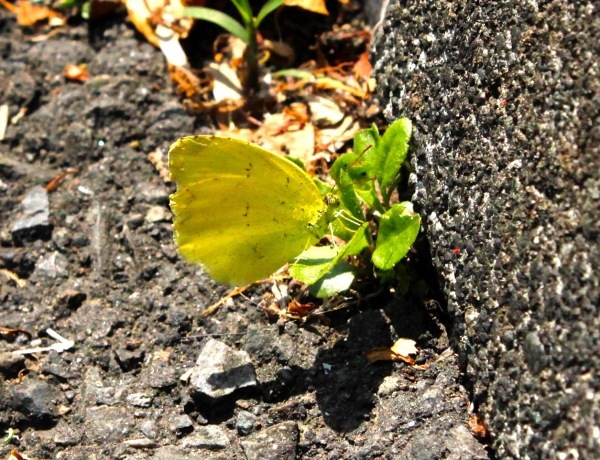 a0248459_13085087.jpg