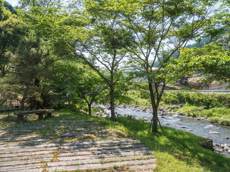 b0123359_20244524.jpg