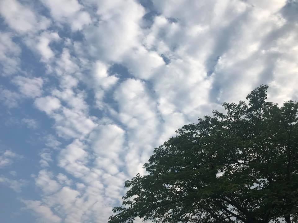 c0115560_14580464.jpg