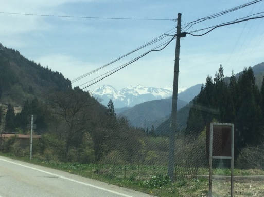 a0053063_10555107.jpeg